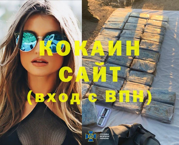 сатива Аркадак