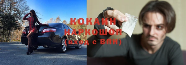 сатива Аркадак