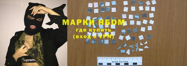 сатива Аркадак