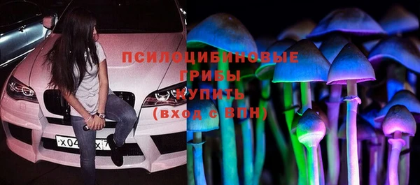 мдпв Армянск