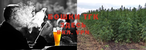 индика Покров