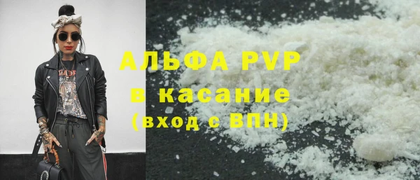 сатива Аркадак