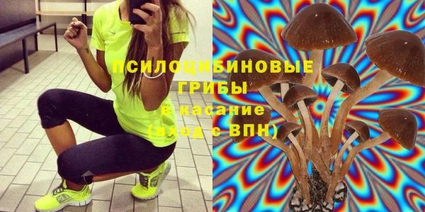 мдпв Армянск